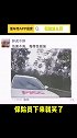 真正做到一秒出险带你懂车