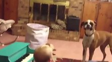 宝宝弹钢琴，小狗在旁边伴奏，真和谐啊！