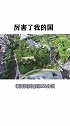 中国又将实现“精卫填海”？