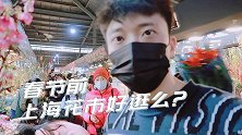 记录第一次逛上海虹桥花市，春节前人超多！品种丰富，价格合理。