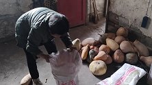 外婆家的老南瓜，扛两麻袋回老家，你们猜用来做什么的？