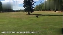 一只野生熊跑到高尔夫球场 拥抱打球的人 爱的抱抱