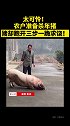 太可怜！农户准备杀年猪，猪却跑开三步一跪求饶！ 猪
