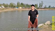 小伙在断桥上拿手撒网捕鱼，连续几网捕到多少？他说要在这打鱼窝