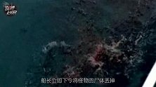 真是史前蛇颈龙？1977年日本捕获海怪之谜 56