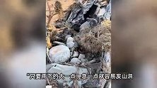 内蒙古5家人露营遇山洪10人遇难！现场人员：出事地叫棺材山