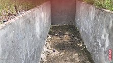 蓄水池里发现受困的小猫，幸运的是池中无水，不然小猫命运难料