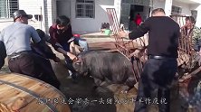 男子准备宰羊，不料一番骚操作笑翻全场，看完完全没忍住！