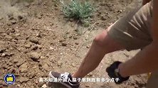 一群小伙挖土坑，4个小时后，周围的人都不淡定了