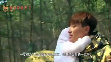 李小璐颁奖典礼现场偶遇贾乃亮，谁注意她下意识反应？够我看十遍