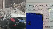长春顶树开车上班车主回应被“送温暖”：希望换成保温杯给环卫工