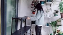 突发奇想,买了个货架当花架,看看效果如何