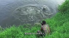 男子鳄鱼池边给鳄鱼拍照，下一秒鳄鱼突然袭击男子，太惊险了
