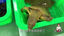 霸王别姬这道菜怎么做？川菜师傅教你正确的法，看着都流口水