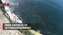 意大利禁止所有难民下船 将集中隔离检疫