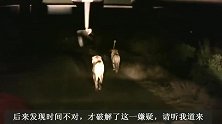 老魔鬼雄狮联盟：夜晚追逐沙河雄狮，殴打一番后，却放过了对手