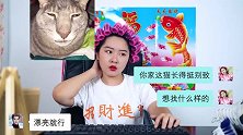 这猫怎么看怎么像红雷哥呢？