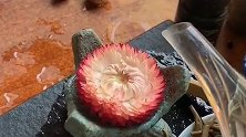 这就是所谓的茶道么，面对着神奇的一幕，我看呆了！