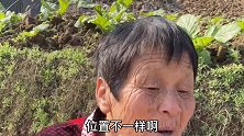 袁婆婆卖柠檬——遇到82年的脾气，手脚给你劈断！