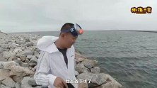 好久没潜水抓螃蟹了，海底的螃蟹泛滥，一会儿就是一大桶