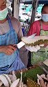 很多人都感到疑惑，为什么泰国人这样开榴莲