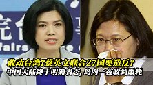 敢动台湾？蔡英文联合27国出手也没用，中国大陆终于明确表态！