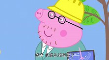 小猪佩奇：猪爸负责动脑，和公牛先生配合工作，真是太好了