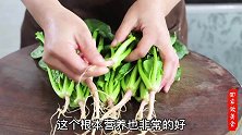 84岁钟南山推荐多吃菠菜，可惜很多人吃错了，这么吃营养全保留