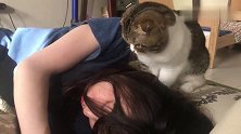 猫咪：铲屎的，睡个觉把头发整这么乱，本喵帮你整理一下哈
