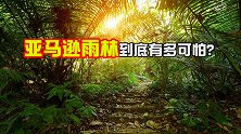 世界上最大的热带雨林，为何是人类禁区？亚马逊河里究竟有什么？