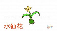 植物简笔画大全，画一朵水仙花简笔画