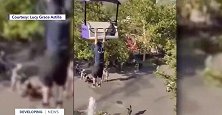 美国：犹他州一男子悬挂在公园缆车外，从15米高摔下后不幸身亡