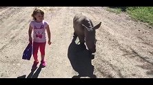 小女孩偶遇小犀牛宝宝，彼此都高兴坏了，走一路玩一路，如此和谐