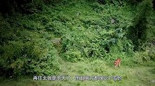 为啥东北睡炕都是全家一起？新婚夫妇不觉得别扭？今天终于明白了