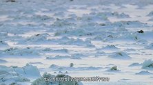 世界上最“牛”的破冰船，造价达70亿，破冰过程太震撼了！