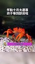 螃蟹产子 蟹式火山喷发娱乐评论大赏
