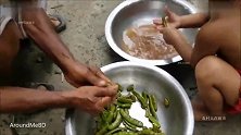 印度阿三摘罗望子和葫芦菜，看看他们怎么吃