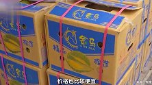榴莲自由！昆明榴莲大批量上市，一斤跌破10元