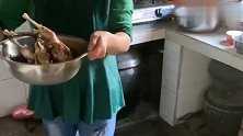 洛洛真有口福，奶奶又给它炖鸡吃了，还差点把嘴烫着，太贪吃了