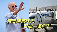 害怕遭塔利班“清算”，亲美阿富汗人不如一条狗？看完不寒而栗！
