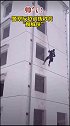12月29日，铜陵义安区天门镇警察学校，人民警察雪天反恐训练中，秒变“蜘蛛侠”走红网络。