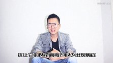 你所不知的蝙蝠另一面