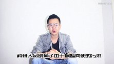你所不知的蝙蝠另一面