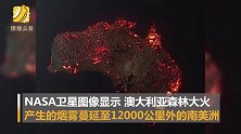 澳洲山火烟雾蔓延至南美 超2万只考拉在澳洲山火中死亡