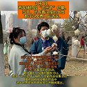 3月7日，西安植物园“玉兰节”启幕。当天，所有着汉服的女性都可以免费入园游览。还有丰富活动等你参加西安
