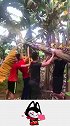 4个老外为了偷香蕉吃，把树都折断了