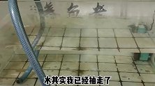 终于决定给小原生鱼更换鱼缸，捞鱼的感觉真爽