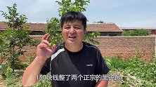 150元买了2根正宗的黑驴蹄，大口啃驴蹄，大口喝酒就在今朝