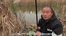 不到一米深的钓点，十秒以内就上鱼，简直太快了
