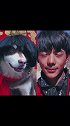 我李某人的爱情终结者：尼古拉斯·富贵真…？宠物 搞笑 阿拉斯加